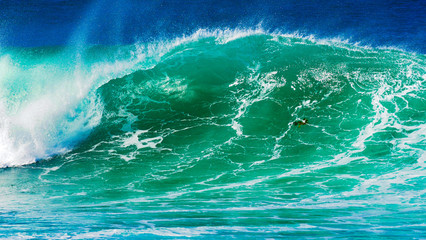 Obraz premium Australian Wave