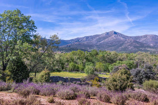 landscape of the sierra de guadarrama and in the background the mountain known as the Maliciosa. Becerril de la Sierra madrid Spain