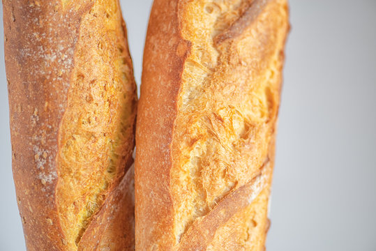 Two traditional French  baguettes,  isolated on grey background.