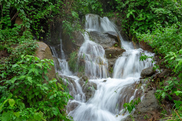 Fototapeta na wymiar Mountain river stream waterfall fresh forest / Landscape nature plant tree rainforest jungle with rock and green mos in the morning wild tropical forest