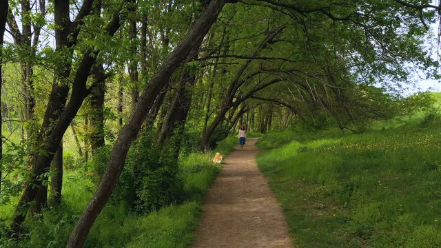 young beautiful girl with the corgi dog walking by the foothpath under the trees  at the beautiful natural park