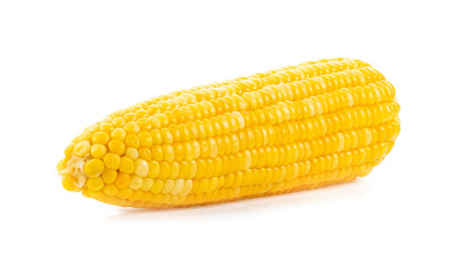 corn on white background. full depth of field