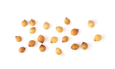 Coriander seeds isolated on white background