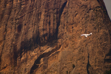Bay of Guanabara and its means of transport and economic. Photo taken in Rio de Janeiro, from the Aterro do Flamengo.
