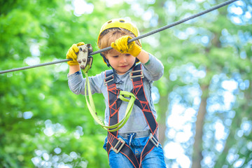 Child boy having fun at adventure park. Happy child climbing in the trees. Happy Little child...