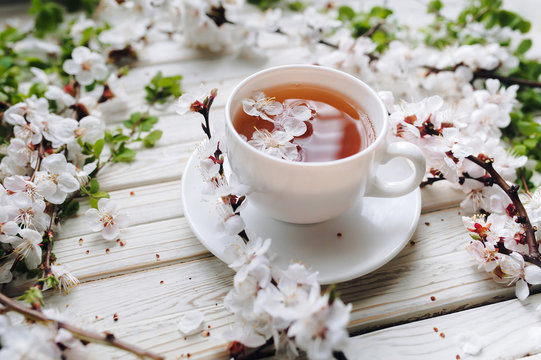 Cup of green tea and spring apricot blossom on a white wooden background. Rustic, close up.