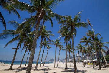 Fototapeta na wymiar Coconut trees on the Copacabana Beach in Rio de Janeiro Brazil