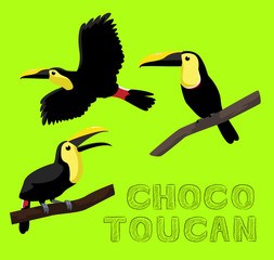 Bird Choco Toucan Cartoon Vector Illustration