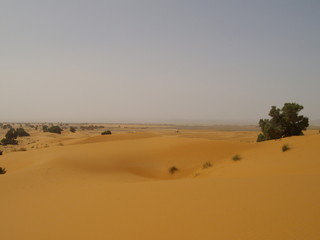 Fototapeta na wymiar Wüstenlandschaft in Marokko