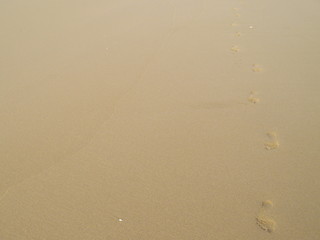 Fototapeta na wymiar Fußspuren im Sand