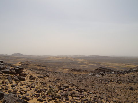 Hammada unter blauem Himmel
