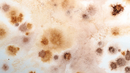 Abstract brown watercolor background. Splashes and strokes. High resolution texture. Modern Art. Hand drawing. Elements for creating brushes and textures.