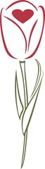 Fototapeta premium Spring Tulip design element for websites, blogs, advertisements, flyers, posters, backgrounds, business cards, logo, and tri-folds 