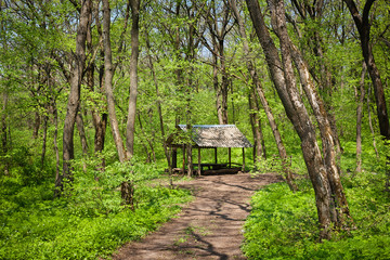  Gazebo for relaxing tourists in the forest