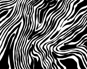 Brush grunge pattern. White and black vector.