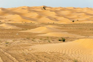Tunisian Sahara Desert Dune Background