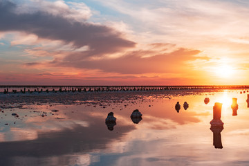 Fototapeta premium sunset on a pink salt lake, a former mine for the extraction of pink salt. row of wooden pegs overgrown with salt