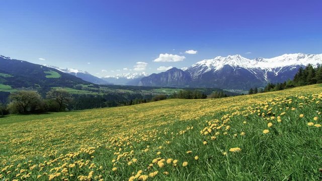 Timelapse of scenic view of valley with dandelion field in foreground. Some cloud movement in the distance. Blue sky.