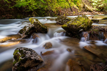 Naklejka na ściany i meble Beautiful Mountain stream with rocks and silky water flow 