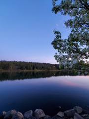 Fototapeta na wymiar Lake and Tree at Twilight