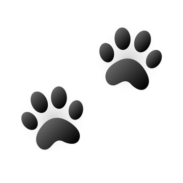 Cute cat feet trace on white background,vector illustration.