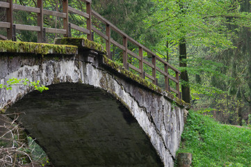 Fototapeta na wymiar Bridge over Kamenice river near Dolský mlýn, Jetrichovice, Czech Republic