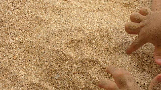 Baby hands playing with sand in the beach