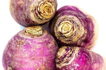 Fresh organic raw turnips (brassica rapa) a cruciferous root vegetable grown in temperate climates,...