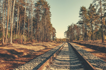 Fototapeta premium Abandoned railway under the trees painted in autumn. Sunny day. Tunnel of Love. Background