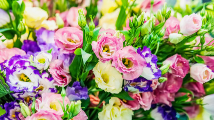 A large bouquet of eustoma in a flower shop is sold as a gift box. Farmer's market. Background.
