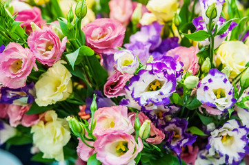 A large bouquet of eustoma in a flower shop is sold as a gift box. Farmer's market. Background