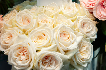 Exotic Roses of pink modern elite varieties in the bouquet as a gift. Background. Selective focus