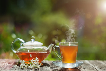 Fresh hot tea in a glass teapot and a transparent cup. Copy space. Soft focus