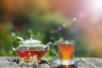 Fresh hot tea in a glass teapot and a transparent cup. Copy space. Soft focus