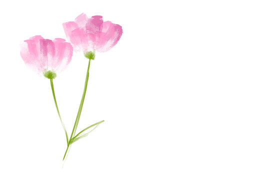 Pink floral with leaves and flowers, drawing watercolor. Spring or summer concetp