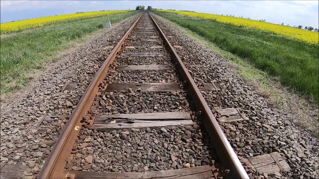 Vas&uacute;t a repce t&aacute;bla k&ouml;z&ouml;tt.repce (Brassica napus),Repce,rapesed,rapesed rail road, yellow road,yellow rail,rail .