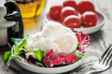 Burato cheese and lettuce for weight correction of Lollo Rosso lettuce leaves, watercress salad and other green herbs.