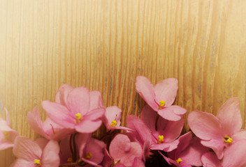 Vintage floral background. Bouquet of pink violet flowers on an old wooden board. Misty sunny morning. Nature.