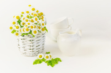 White milkman with milk on the table with white cups and a bouquet of daisies in a white wicker basket. Copy space