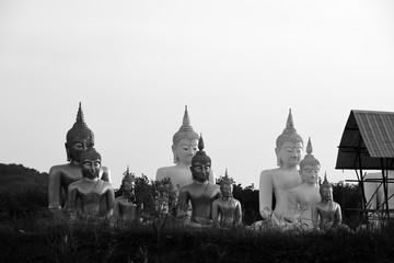 temple and buddha statue