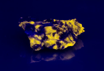 Sodalite - Wernerite fluorescent mineral under UV light. Luminescent yellow crystals from Canada in ultraviolet lightening.