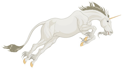 The heraldic horned stallion takes off the ground with a powerful jump, pulling its neck forward. Colored illustration of a white leaping Unicorn. Clip art and design element for mythological goods.