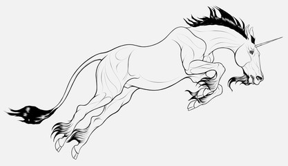 The heraldic horned stallion takes off the ground with a powerful jump, pulling its neck forward. Linear illustration of a leaping Unicorn. Clip art and design element for magic, mythological goods.