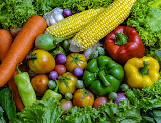 Vegetables are good for health.