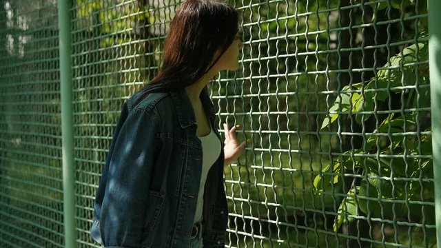 Curious caucasian girl walking and looking behing the fence in the Zoo. Slow motion
