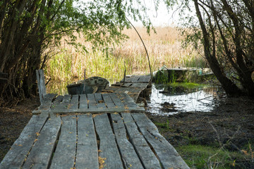 old plank dilapidated berth and wooden old boat