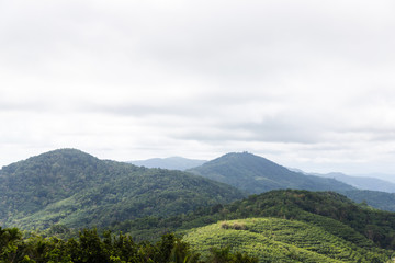 mountain scape and forest in day time with sunlight shine on there and cloudy sky