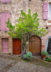 Fototapeta na wymiar Rustic facade with old doors and a single tree in an urban setting of a small French village