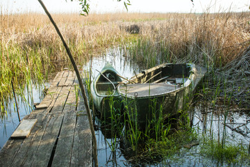 old boats near a plank wooden berth on the lake in the reeds
