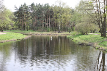 Fototapeta na wymiar water, landscape, lake